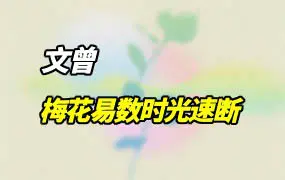 文曾梅花易数时光速断 视频60集(有字幕) 百度网盘分享