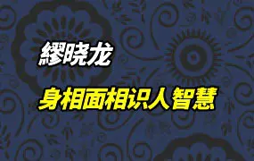 繆晓龙 身相面相识人智慧 视频28集(带字幕) 百度网盘分享