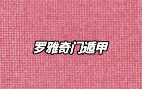 罗雅奇门遁甲 视频60集 百度网盘分享