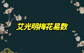 艾光明梅花易数 视频11集(有字幕) 百度网盘分享