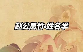 赵公禹竹姓名学 视频49集 百度网盘分享