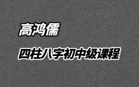 高鸿儒四柱八字 初中级课程  视频28集 百度网盘分享