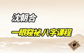 沈朝合一眼窺祕 八字课程 视频21集 百度网盘分享