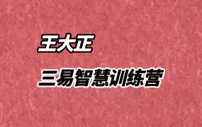 王大正 三易智慧训练营 视频64集(带字幕) 百度网盘分享