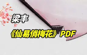 《仙易俏梅花》梁丰(玄空子)著 PDF 163页 百度网盘分享
