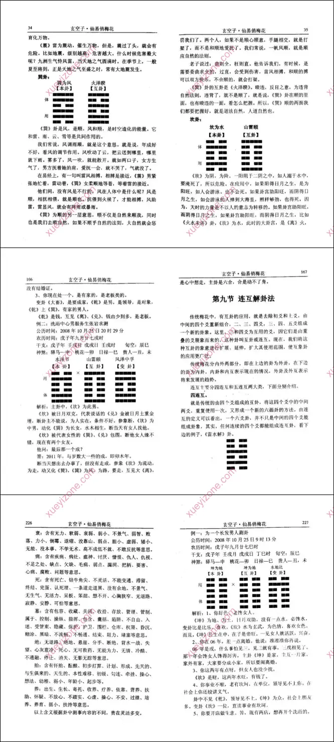 仙易俏梅花