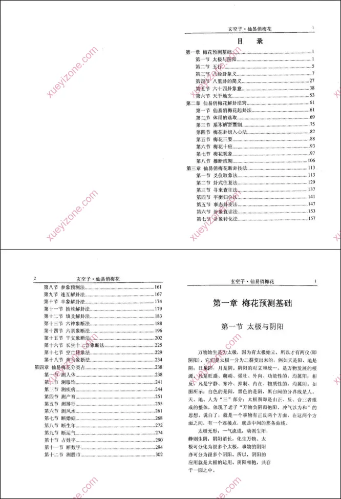 仙易俏梅花