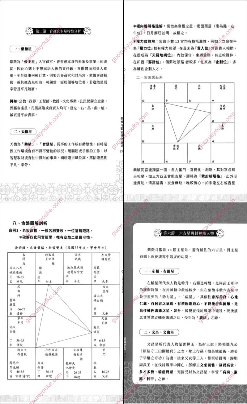 传通居士 紫微斗数