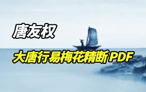 唐友权 大唐行易梅花精断 PDF 320页 百度网盘分享