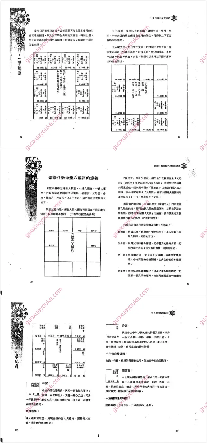 紫微入门一学就通