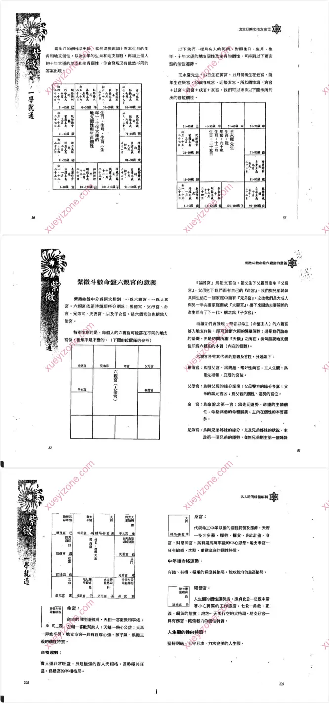 紫微入门一学就通