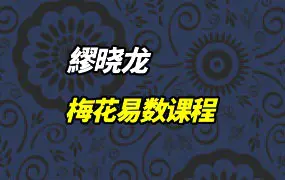 繆晓龙梅花易数课程 视频27集 百度网盘分享