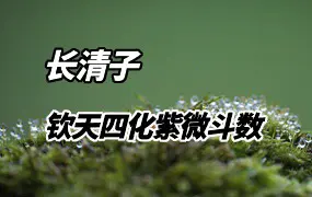 长清子 钦天四化紫微斗数 视频30集 百度网盘分享