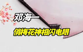 《俏梅花神相闪电眼》上下册 邓海一著 PDF 153页 百度网盘分享