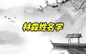 林森姓名学 视频20集 百度网盘分享