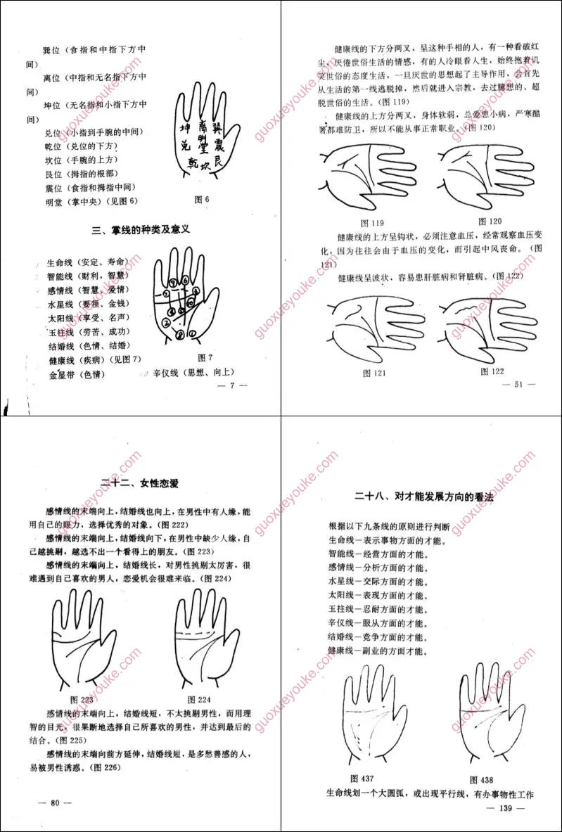 玉派手相术
