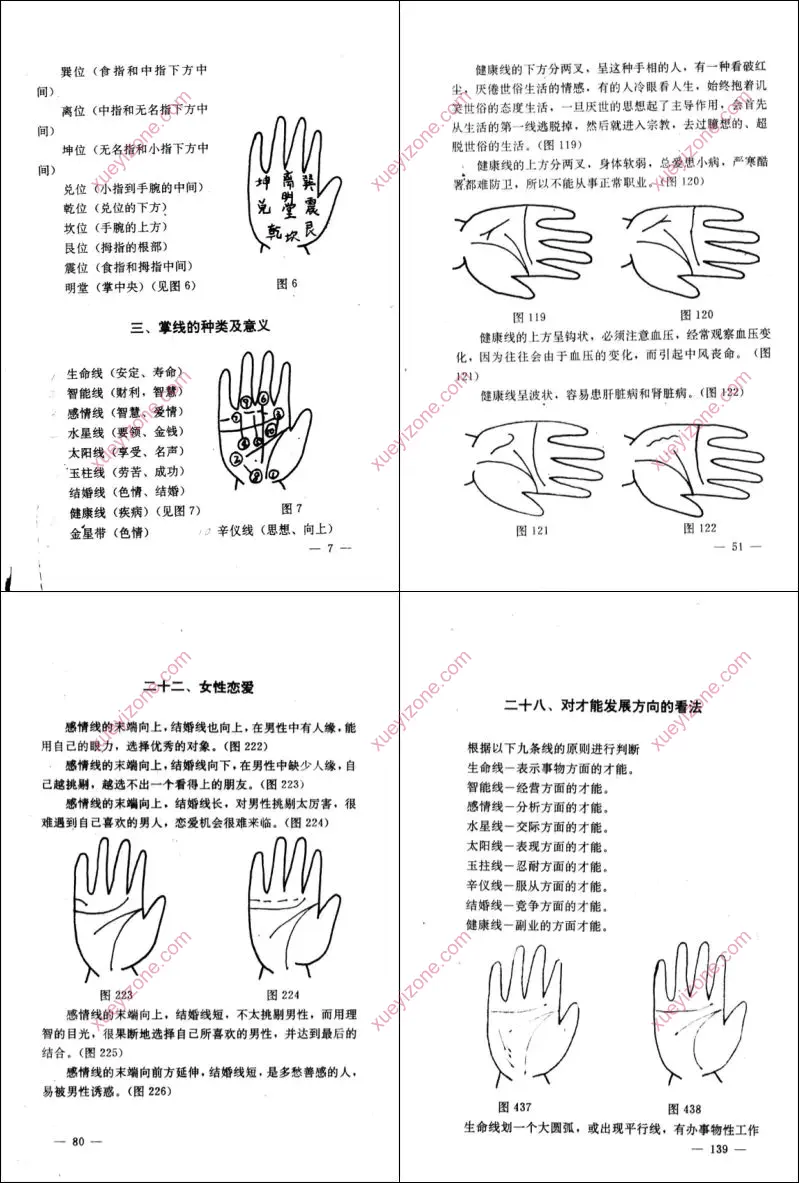 玉派手相术