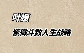 叶媛 紫微斗数人生战略 视频39集 百度网盘分享
