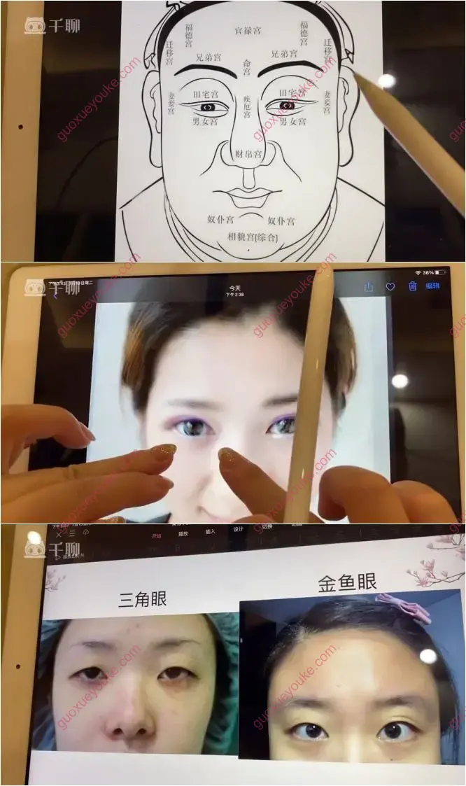 美相学课程
