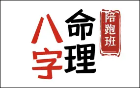 陈春林 九纬洪运｜ 八字命理陪跑训练营 视频19集 百度网盘分享