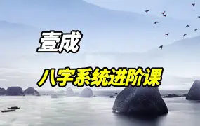 壹成 八字系统进阶课 视频21集 百度网盘分享