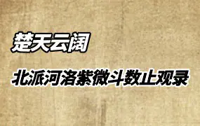 北派河洛紫微斗数止观录 楚天云阔著 PDF 322页 百度网盘分享