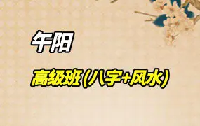 午阳老师高级班 (八字+风水) 视频65集+课件 百度网盘分享