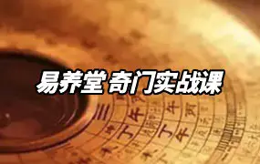 易养堂 奇门实战课 视频108集(带字幕) 百度网盘分享