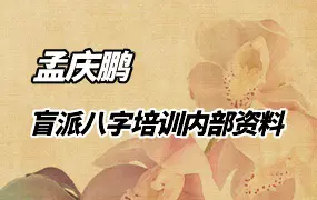 孟氏民间盲派 《盲派八字培训机构内部资料》孟庆鹏著 PDF 310页