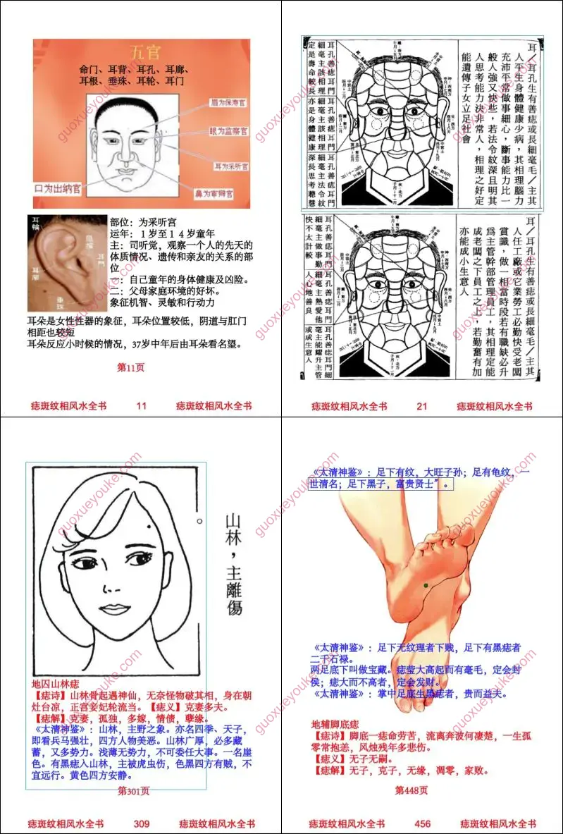 痣斑纹相风水全书