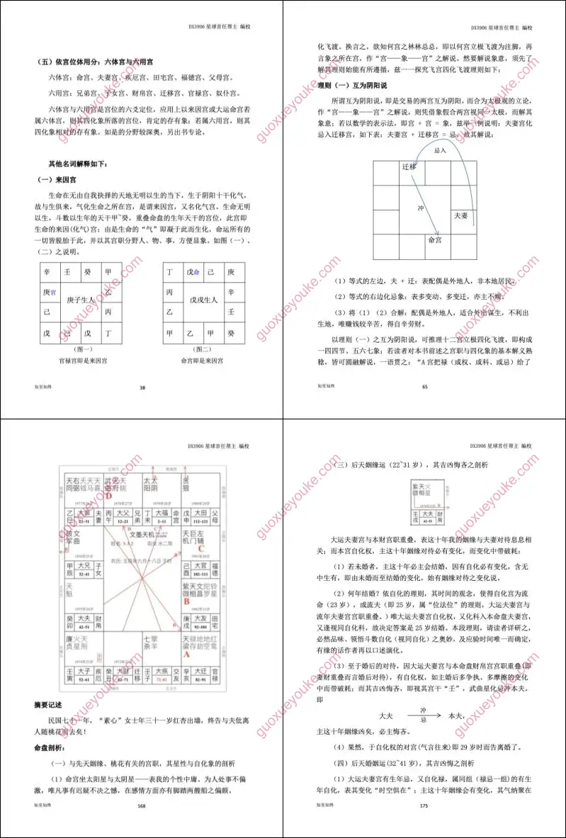 紫微斗数 命理学正解