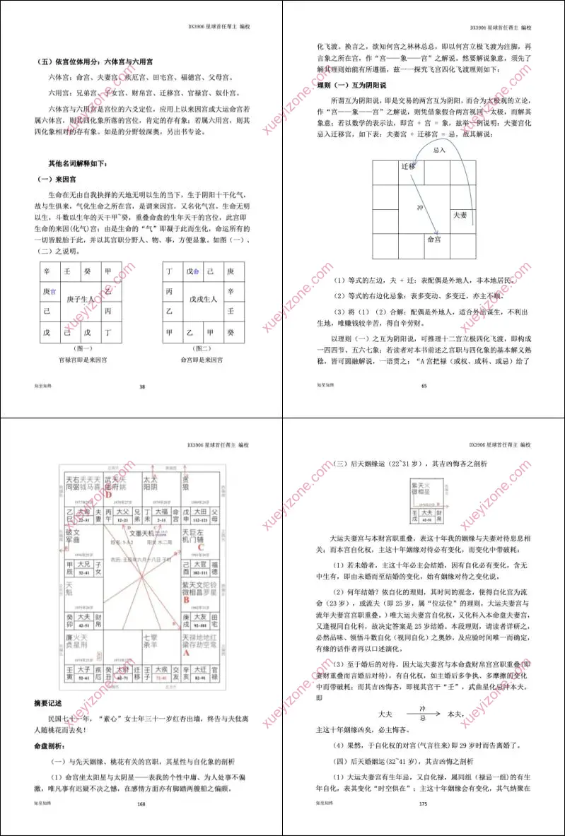 紫微斗数 命理学正解