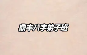 鼎丰八字弟子班 视频10集 百度网盘分享