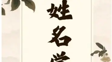 魏宏卿 五行生克姓名学 视频3集