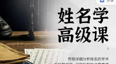 悟善国学 十二生肖姓名学高级课 视频8集