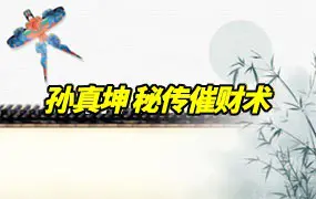 孙真坤 秘传催财术 视频34集 百度网盘分享