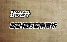 《断卦精彩实例赏析》 张光升著 PDF 312页 百度网盘分享