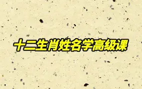 悟善国学 十二生肖姓名学高级课 视频8集 百度网盘分享