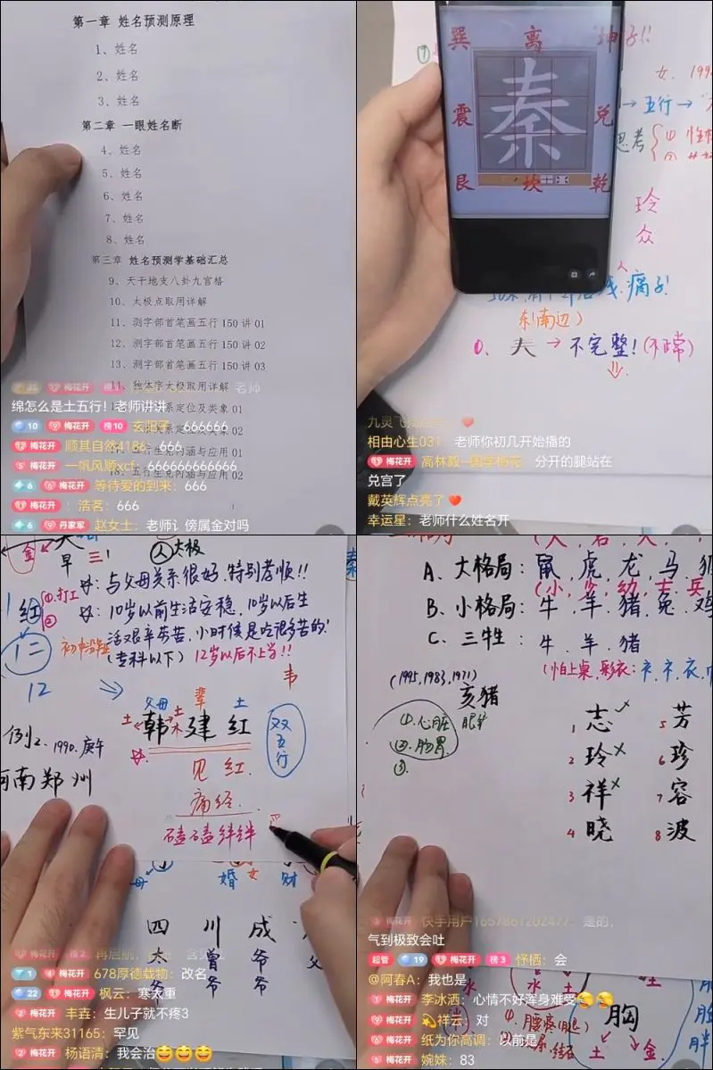 梅花五瓣开2025年 姓名预测学案例研究 视频6集