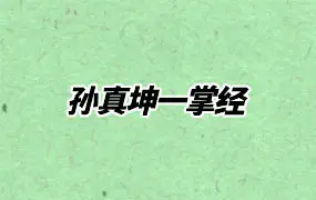 孙真坤一掌经 视频39集 百度网盘分享