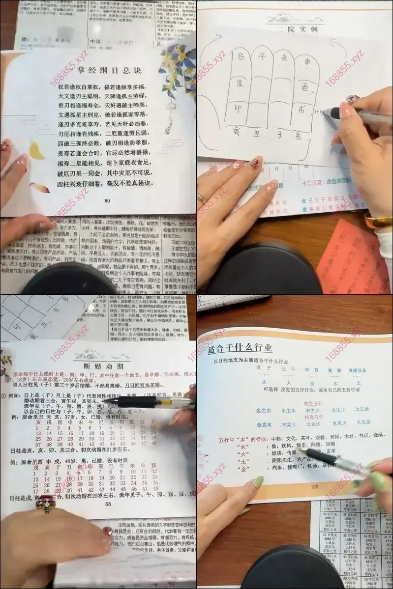 孙真坤一掌经