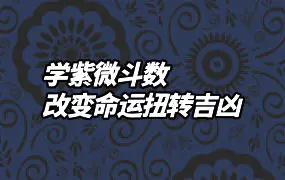 学紫微斗数改变命运扭转吉凶 传通居士著 PDF 464页