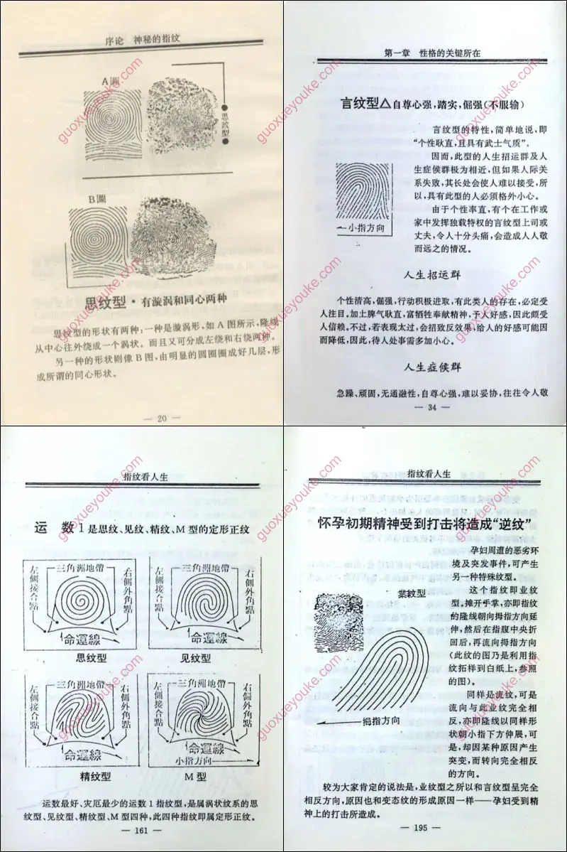 指纹看人生