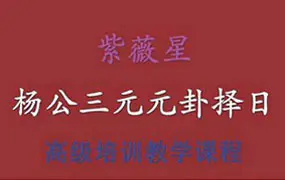 余永海著 杨公三元元卦择日 PDF 63页 高级培训教学课程配套书