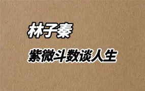 林子秦 紫微斗数谈人生 视频211集 百度网盘分享