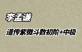 玄祥李孟谦 道传紫微斗数 初阶班+中极班 视频56集