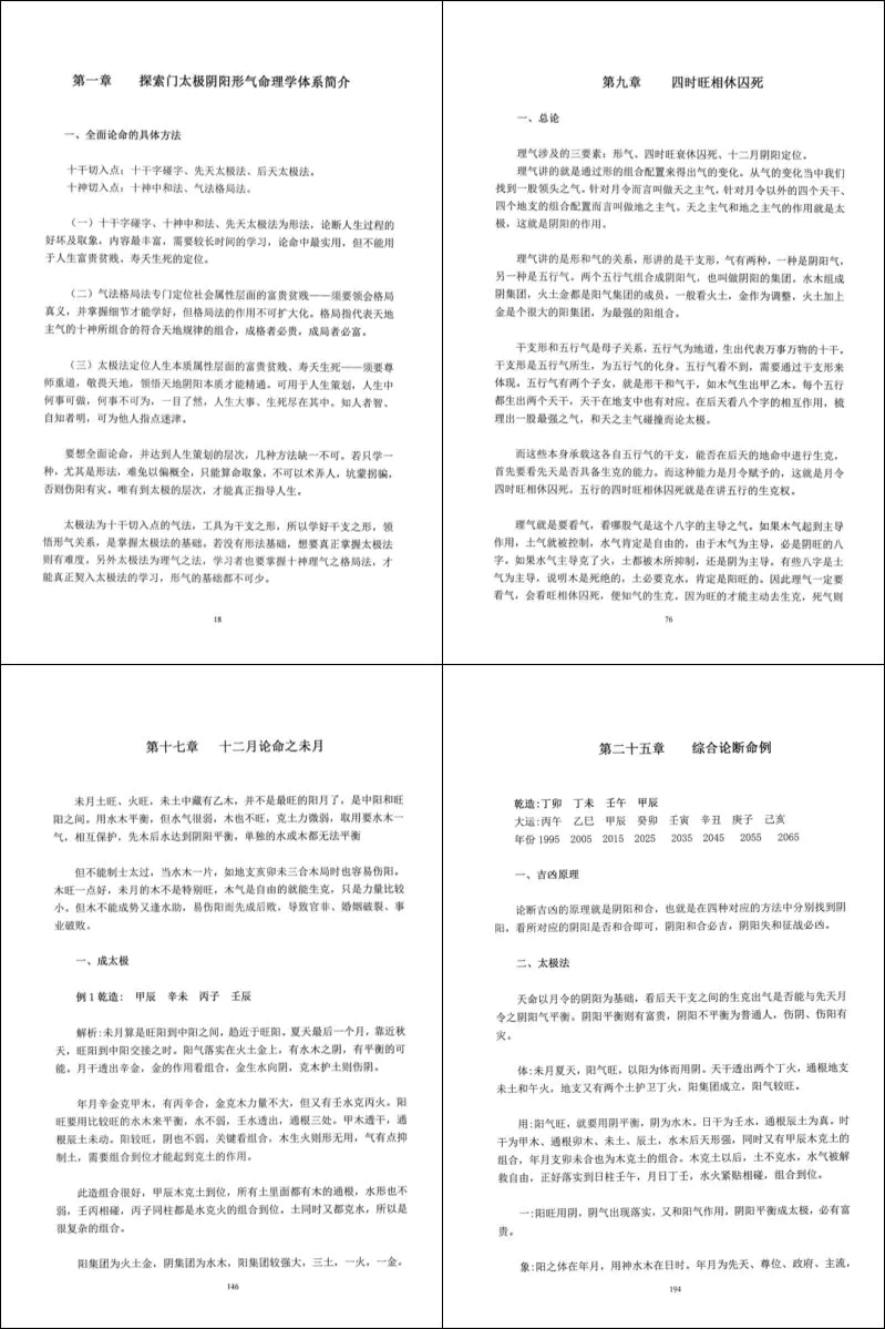 王庆 2017年太极法课堂笔记 PDF 202页
