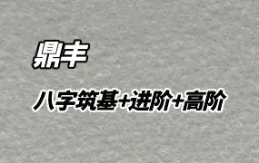 鼎丰八字 筑基+进阶+高阶 视频41集 百度网盘分享