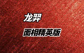龙羿面相 面相精英版 视频30集 百度网盘分享