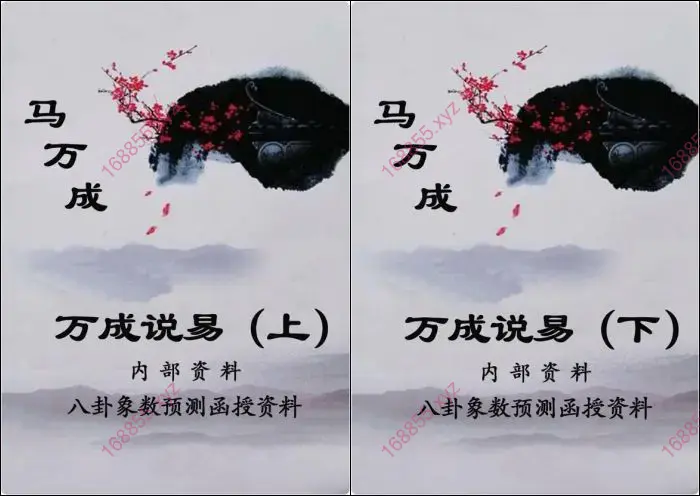 万成说易